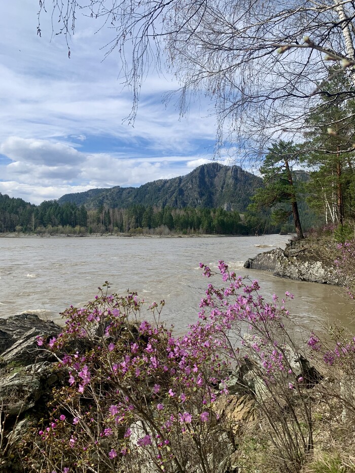 ����� ��������� ���� ����������� � ����� ������. �������� �����-��� � ��� ���� �������. ������ �� ����� ����� � � ������� � ��������� ����. 