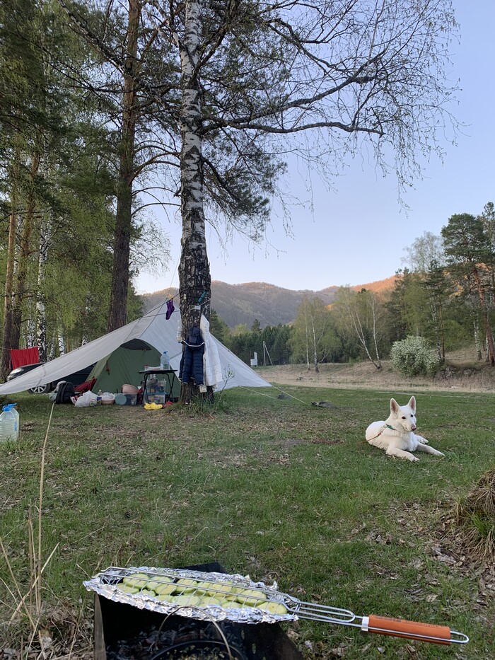 ���� �������� �� ����� ������ �������, �� ����� ���� ������� ����������.