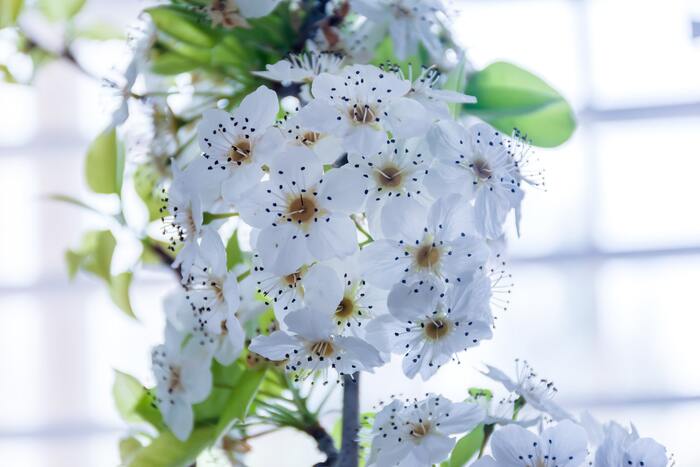 ���� �������� ������� ��� �������� ��������� �����