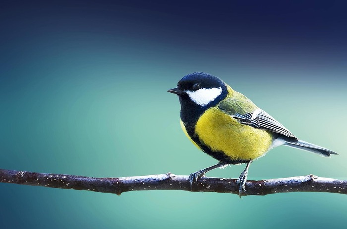 ���� �������� ������� ��� �������� ��������� �����