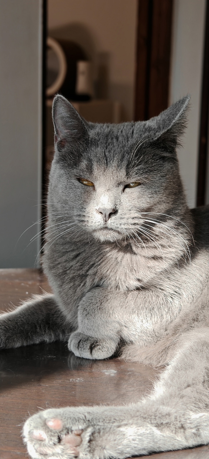 ������� ��� ����� ������ �����