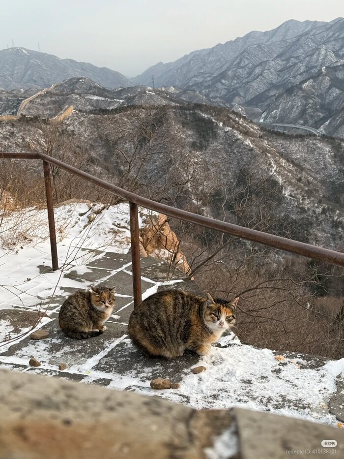 ��� � ���