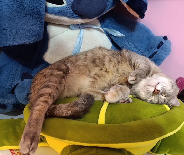 ����� ������� � �������