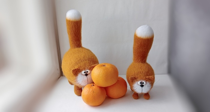 ������������ ����