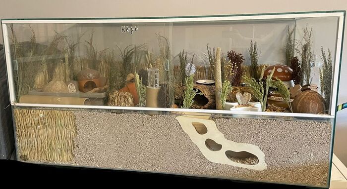 ���� �����������, � ������� ��� ������� ����� ��������