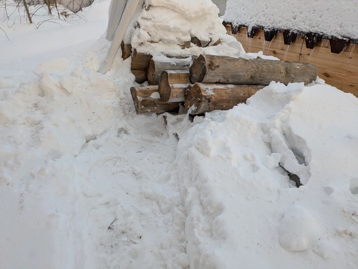 ������ ���