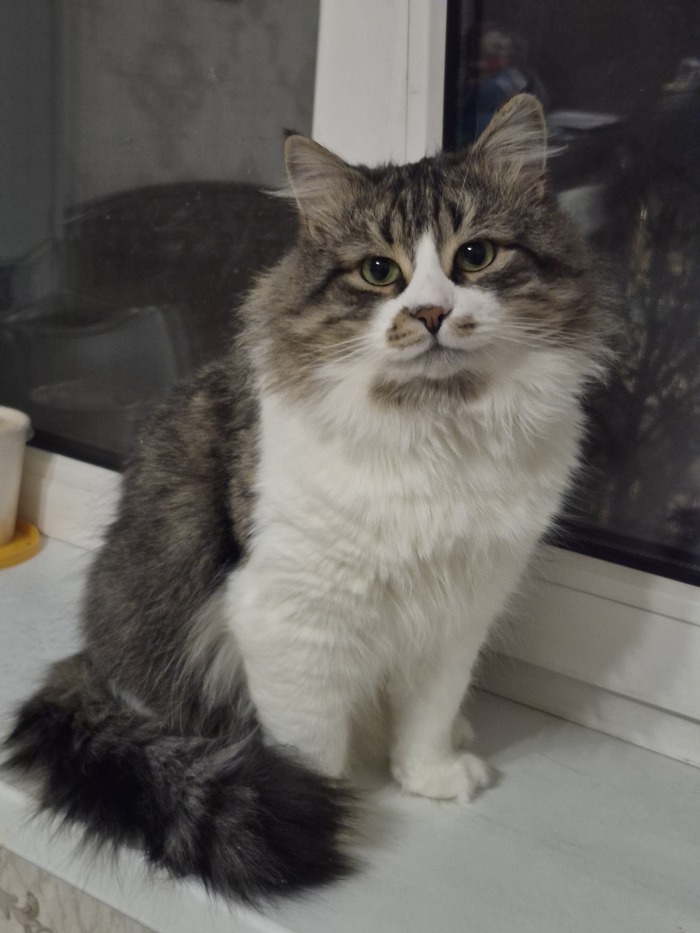 �������� �����