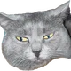 ������ ������������ Doommmer
