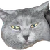 Doommmer
