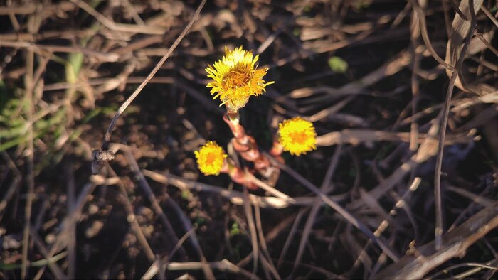 ������ ����� ������ � ������ ������, ������� �������� ���������� ������ ( � ����� ������ ����� ����) ����� ���������, ��� ������� ������� �������� ���� �� �������� ����� ������������ �����.