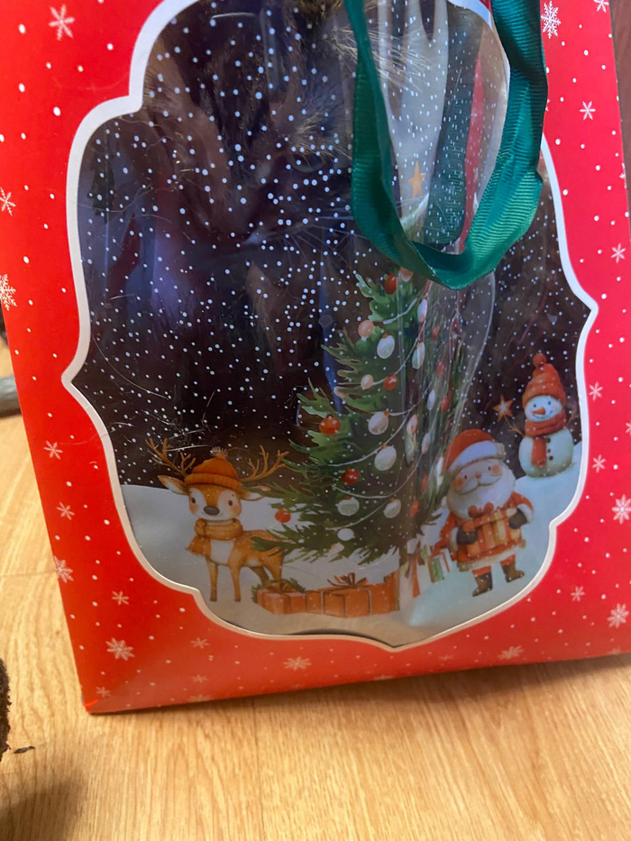 ������ � ������