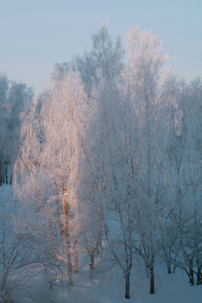 ������� ����