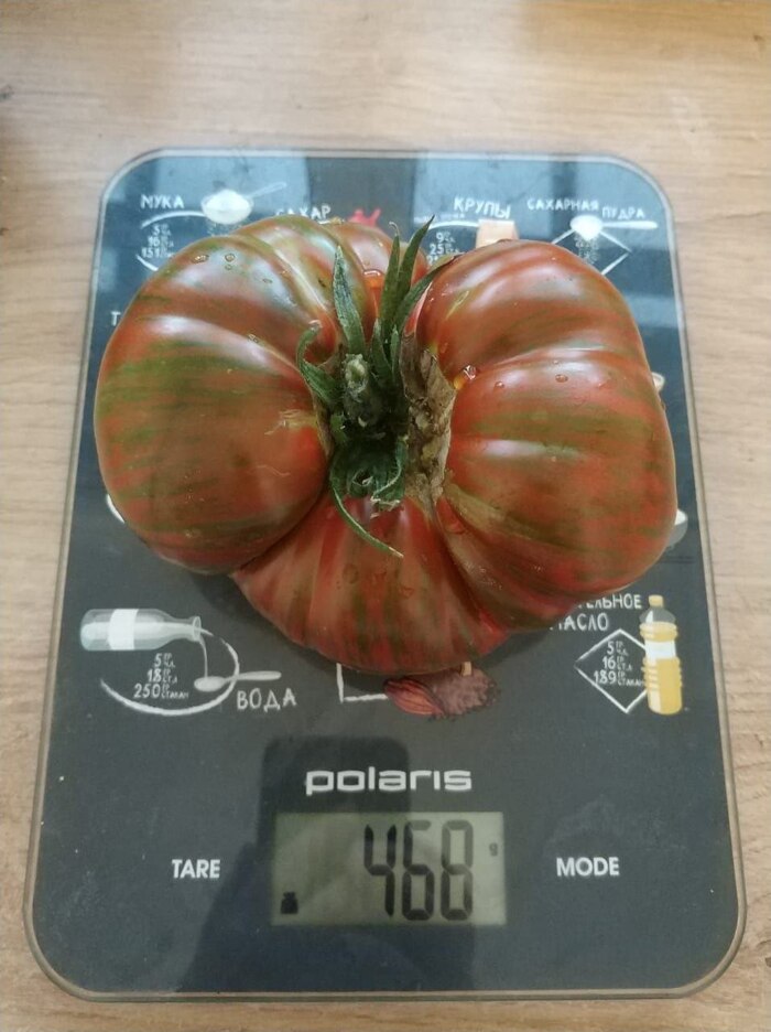 Полосатый шоколад