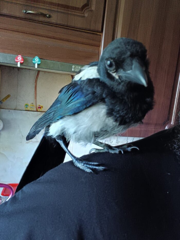 � ��������� ������ ������� � ���������� � ������