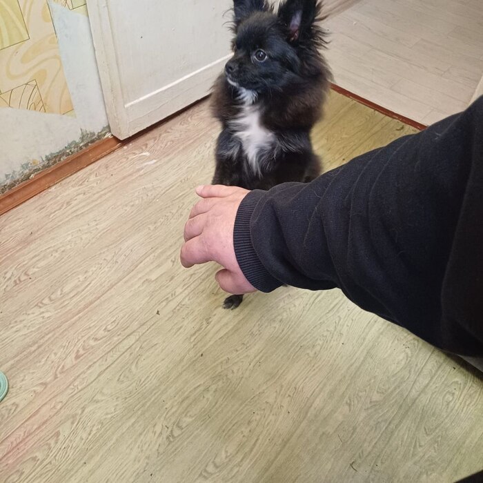 ������ �� ���� �� ������.