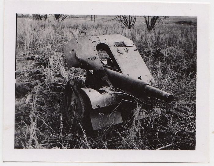 ����� ���������� ����. ������ ������ ����