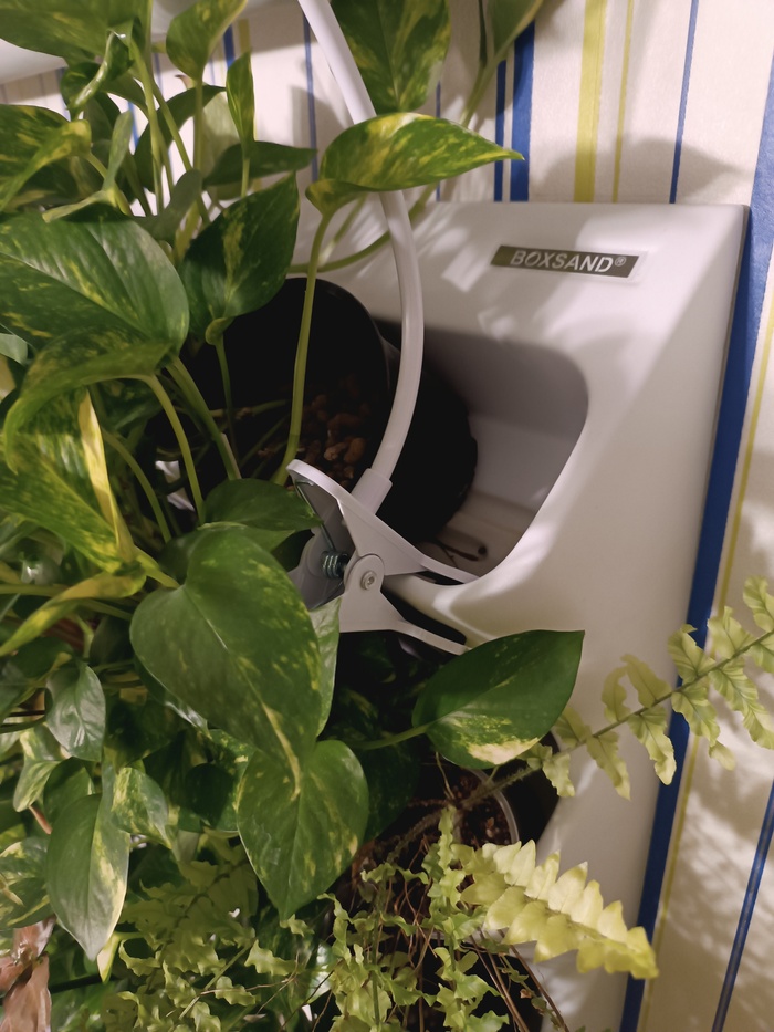 ��� �������� ������ 