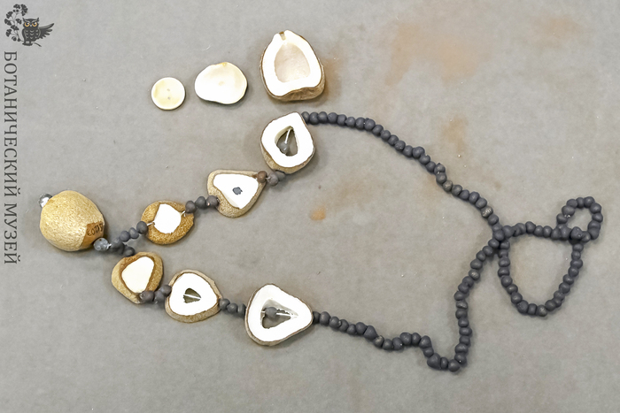 ������� �� ������ ������-���. �� ���������� ������������� ����� ��� ���.