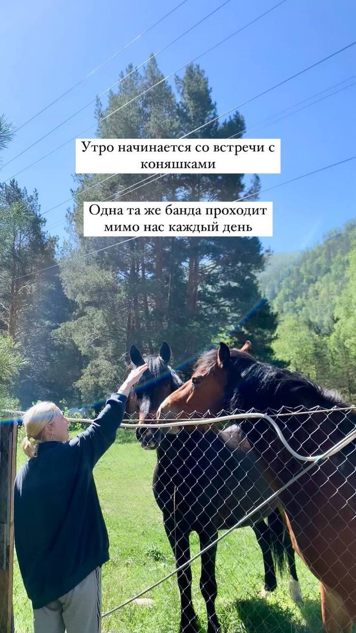 �������� ��������� �������