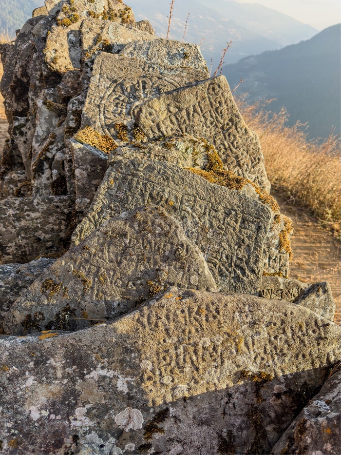 �������� ��������