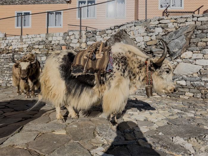 ����������� ���