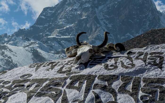 �����������. � ������� ���� ��������� � �� ��������!