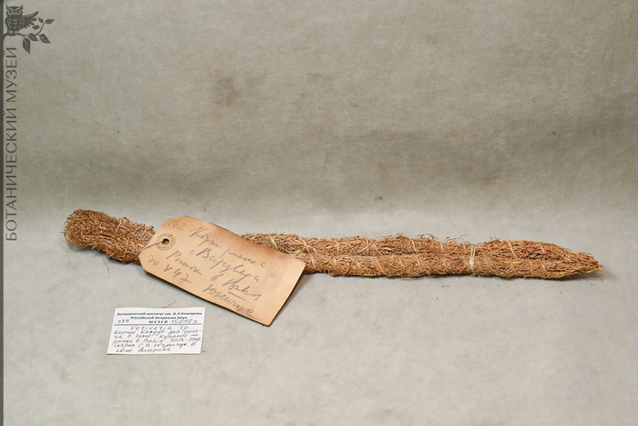 ����� �������� �� ������ ������������� �����.&nbsp; ������ �.�. ������� � ����� �������, 1947 �.