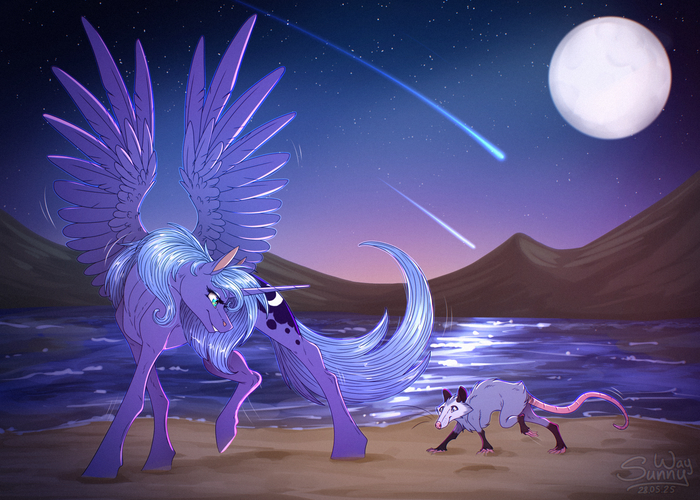 ����� ����