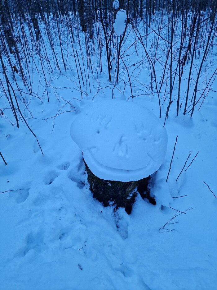 Снежный пень:)