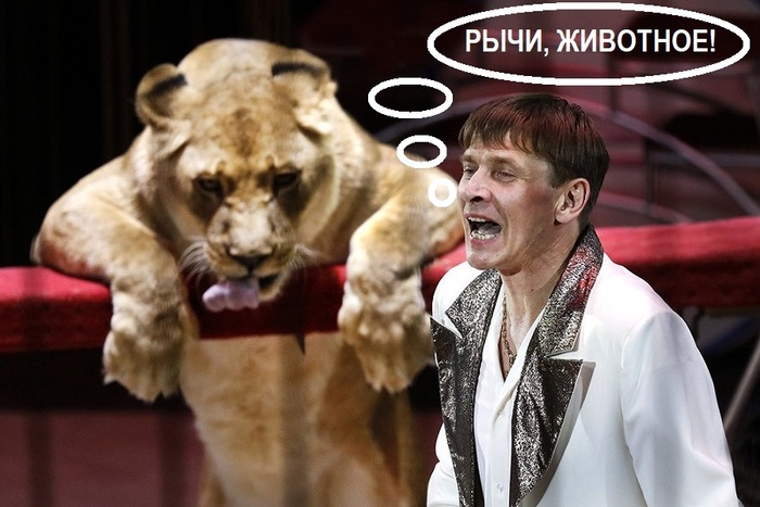 Вставайте утром и рычите как лев!