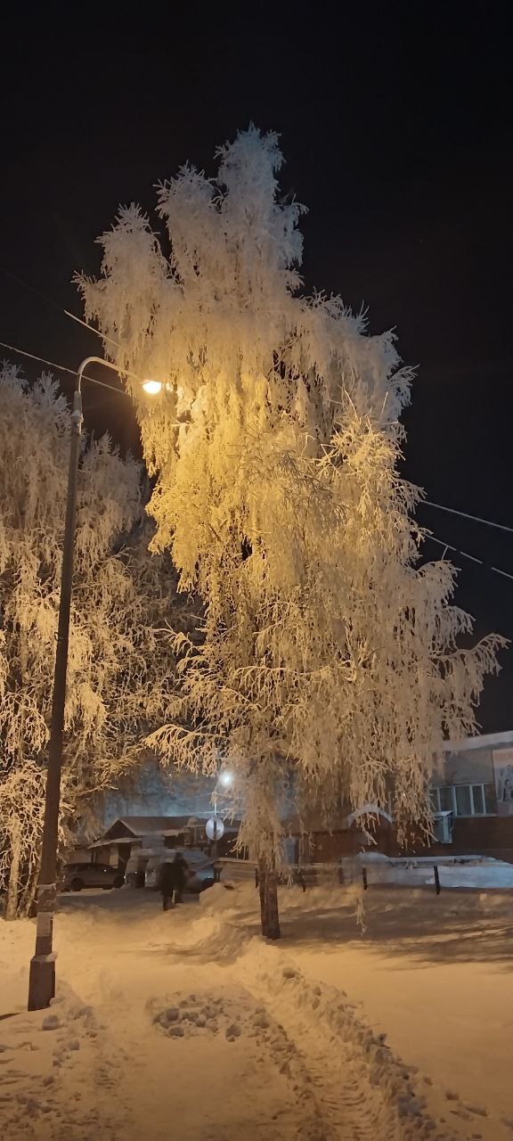 ��� �� ���� ������. �� ����� ������� �������� ������ ������ ����� � ����� �� �������� ����� ��� �����. ������ ��� ��������� �������. ��� ��� �������� ������ ������ �� ��������� ������.