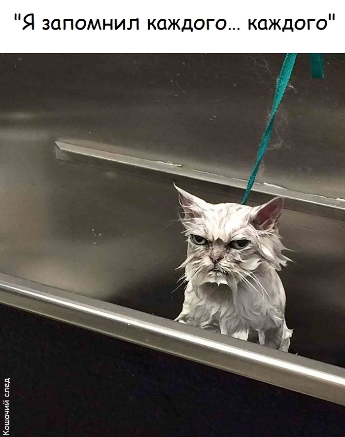 ���� ����� ������� �� ����� ������