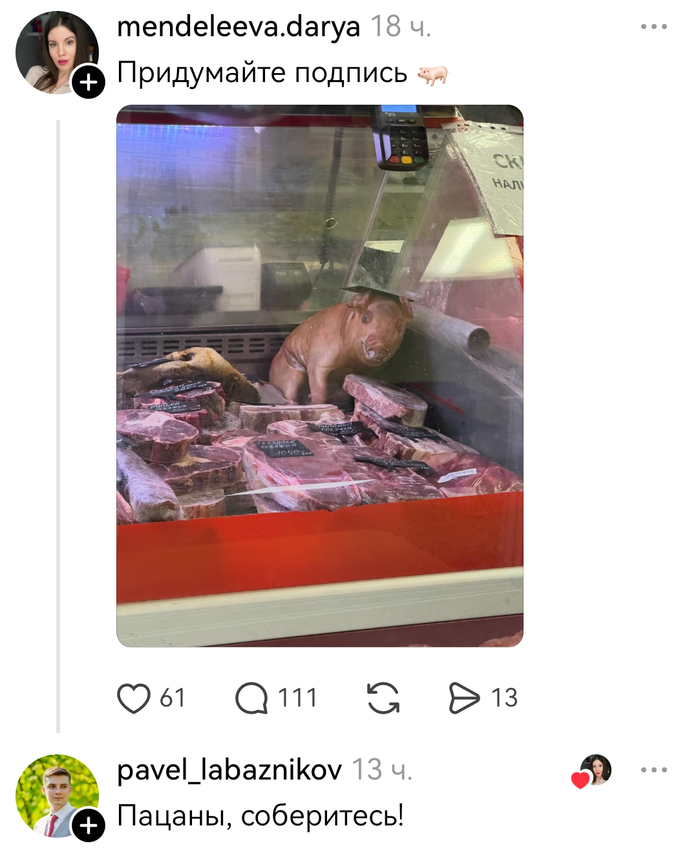 ����� ������� � ��������� ��������