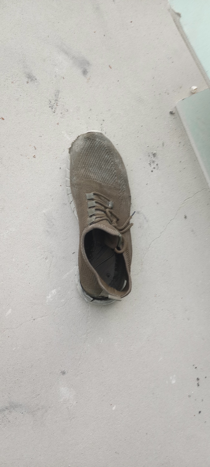 ����� Hamstars � ���� � �� ������� ���� ��� �������