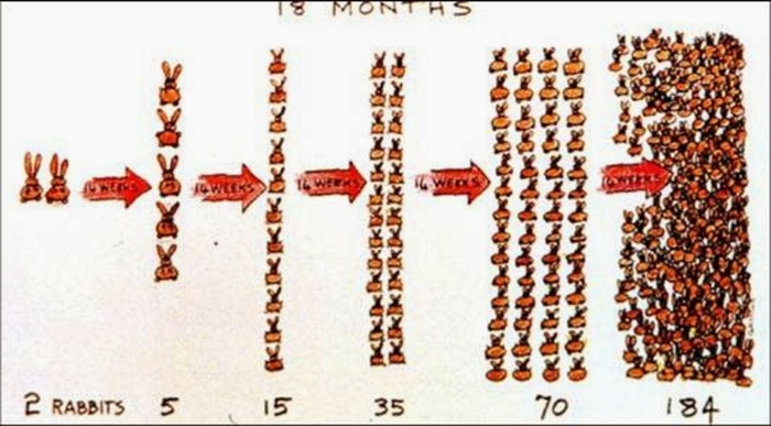 ������� �� ������������, � ����������.