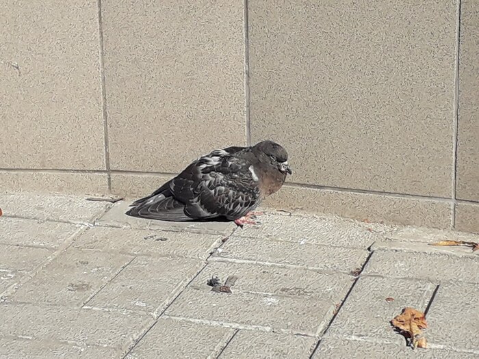 ����� �� ���� ���� � �� ������� ���� ��� �������