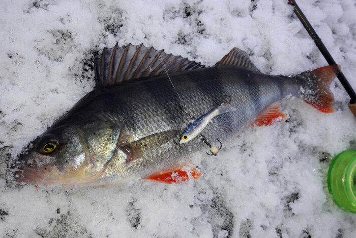 ����� � ������