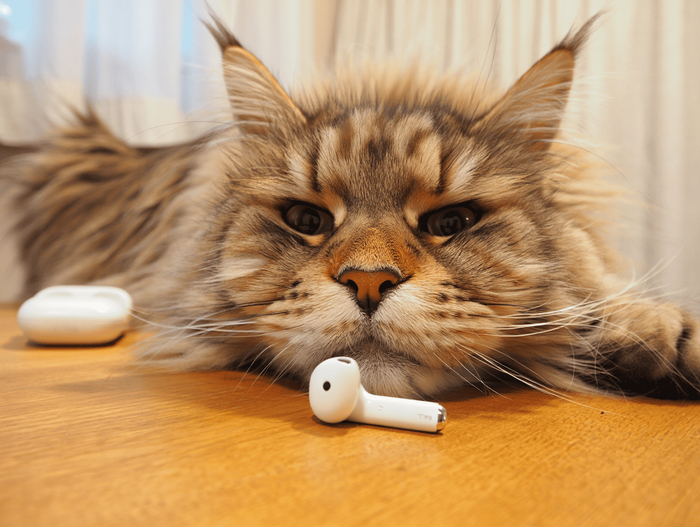 Рейтинг лучших беспроводных наушников 2026: ТОП-20 TWS моделей с отличным звуком и шумодавом