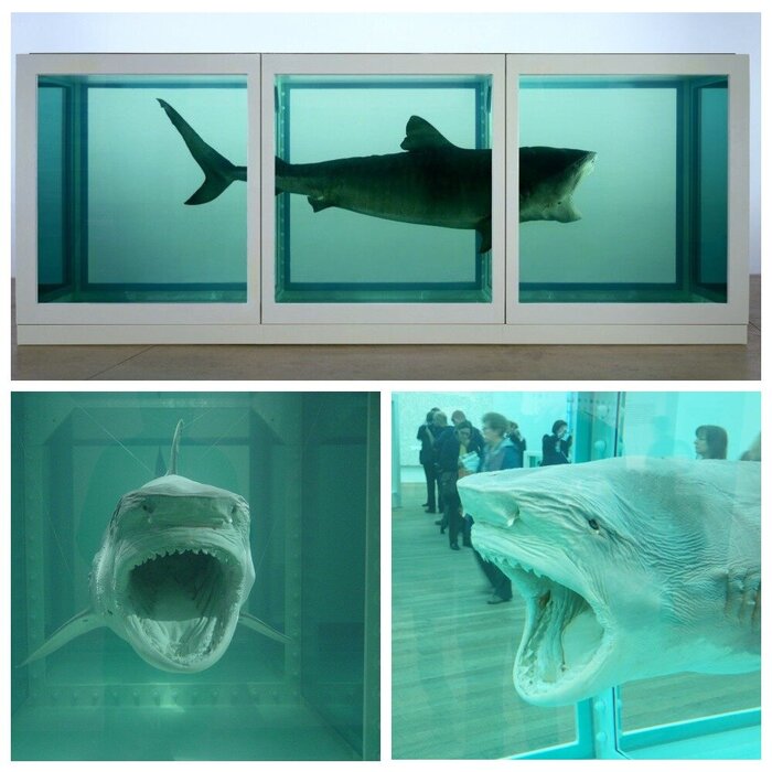 ������ �����, ����������� ������������� ������ � �������� ��������