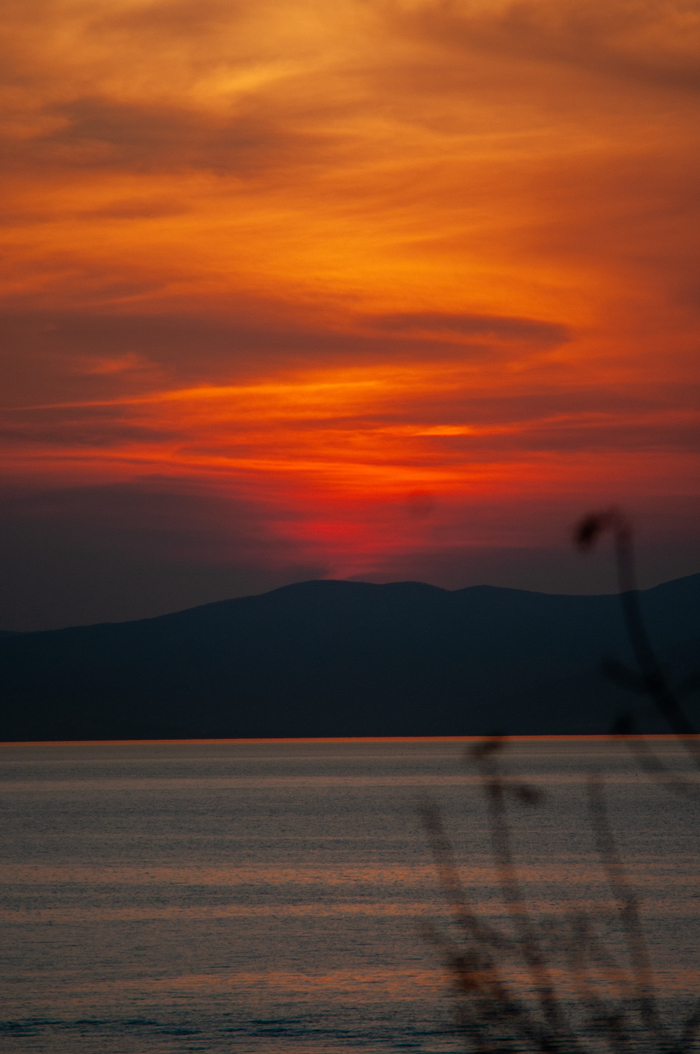 ������ �����