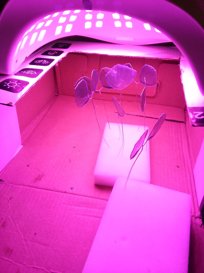 ��������� �� ������� ��� ����� �����������, ������ ��������� �������