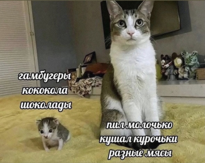 ������ ���������� ��� ������� �������� ������ �� ����!