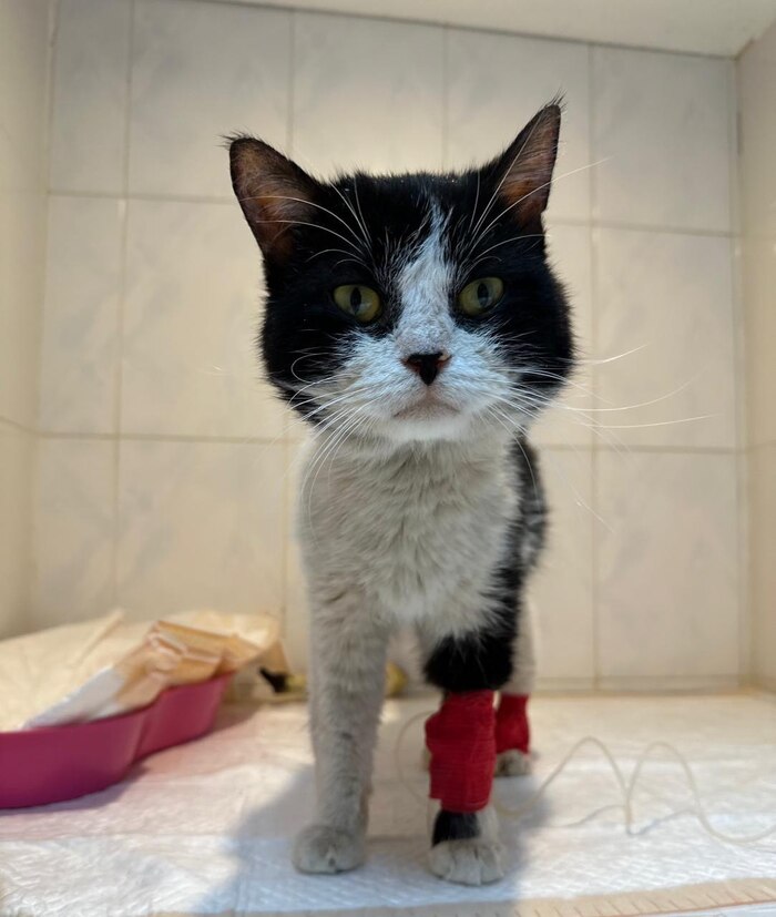 ���� � �������