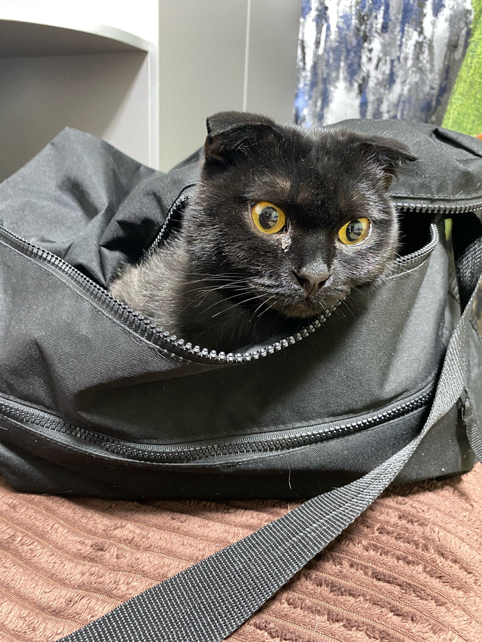 ���� ��� �� ��� ����?