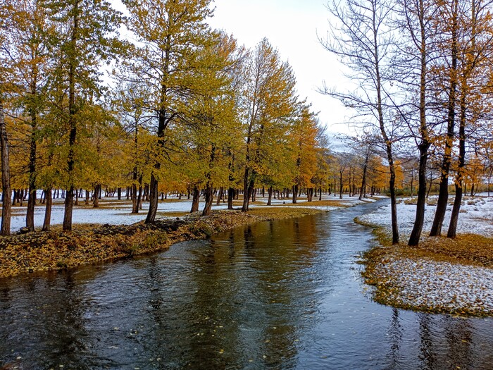 Осень на берегах Чуи