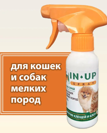 �����, ������������� ���� ������� �������� ������ � �� ����� ������� ��������� ������ � ������