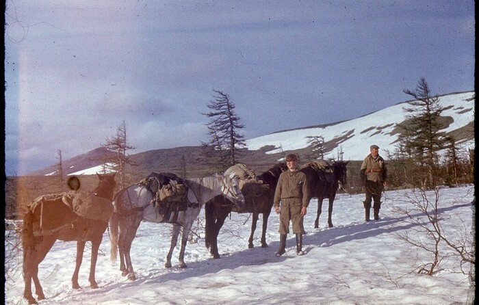 ������� ������ (������� �� ������)