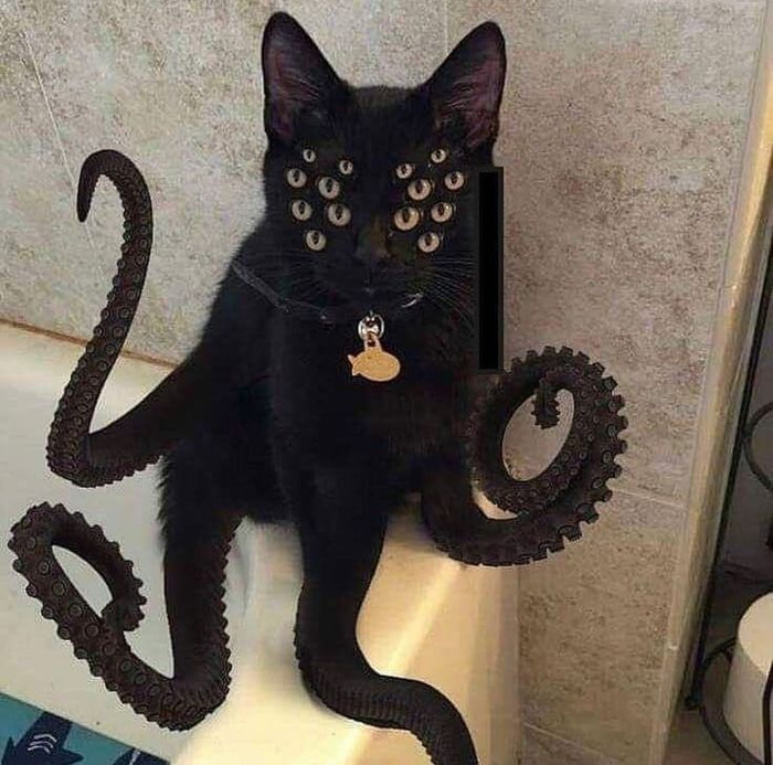 Помогите хвостику