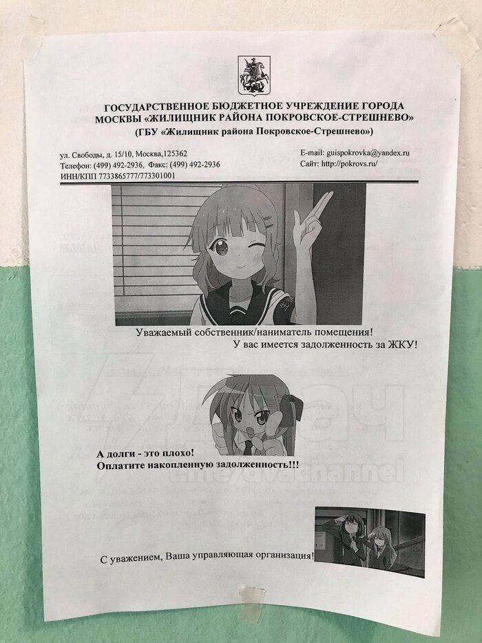 Контора омолодилась?