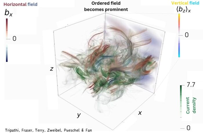Визуализация симуляции: изначально хаотичные линии магнитного поля со временем организуются в крупномасштабную упорядоченную структуру под действием градиента скорости.